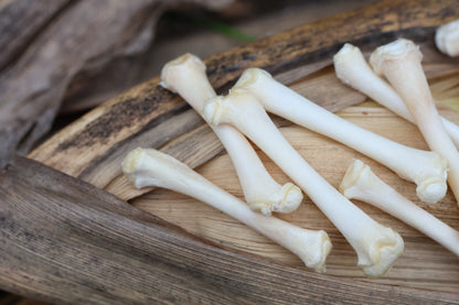 Kitten Bone Lot