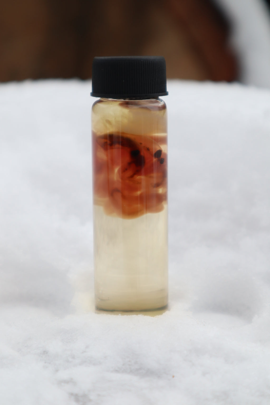 Diaphonized Fetal Kitten Entrails