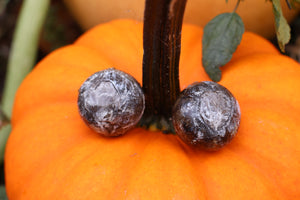 Dry Preserved Bobcat Eyeballs
