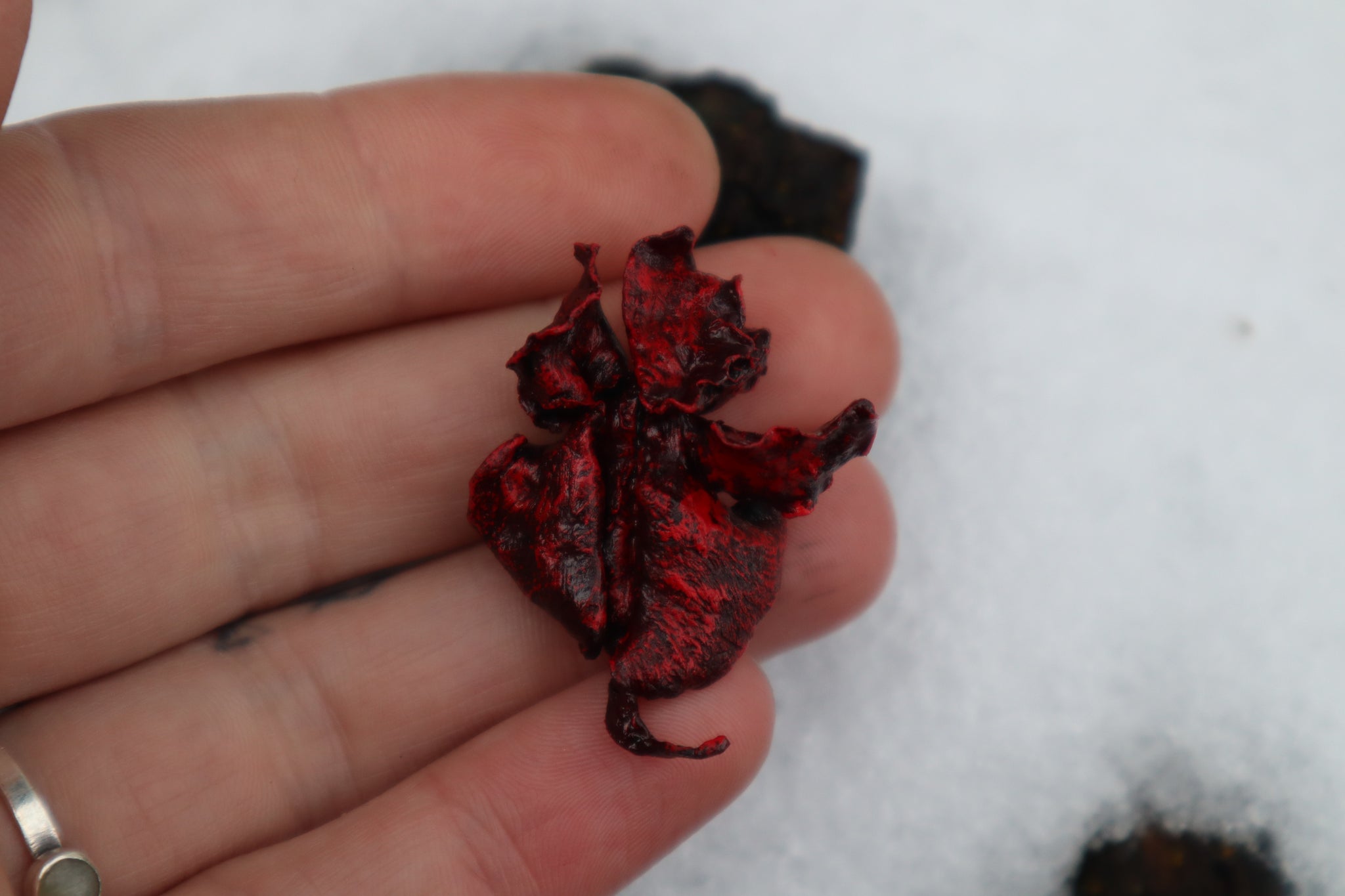 Dry Preserved Kitten Lungs