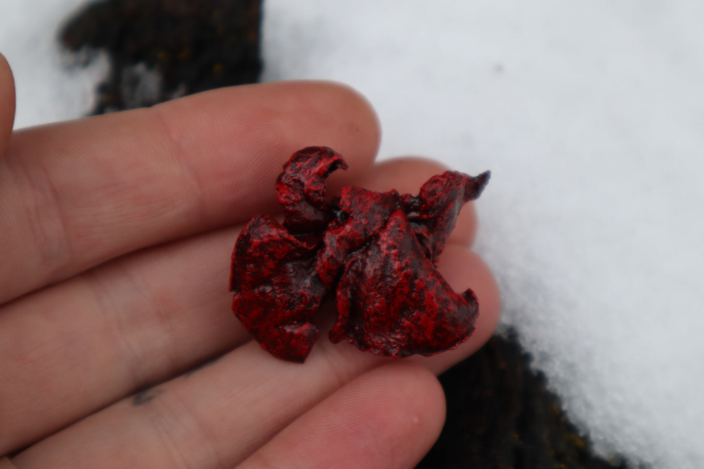 Dry Preserved Kitten Lungs