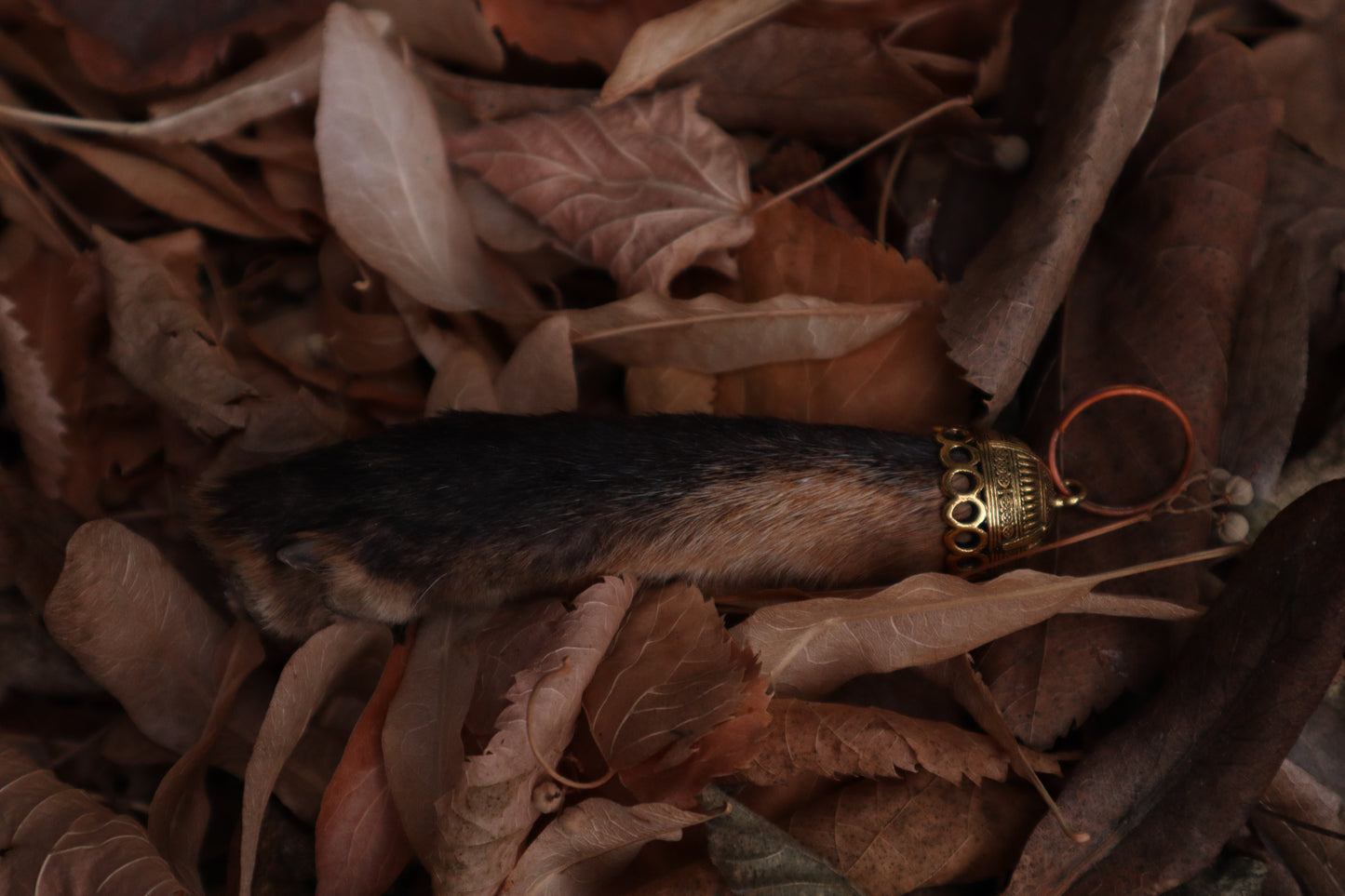 Red Fox Paw Keychain