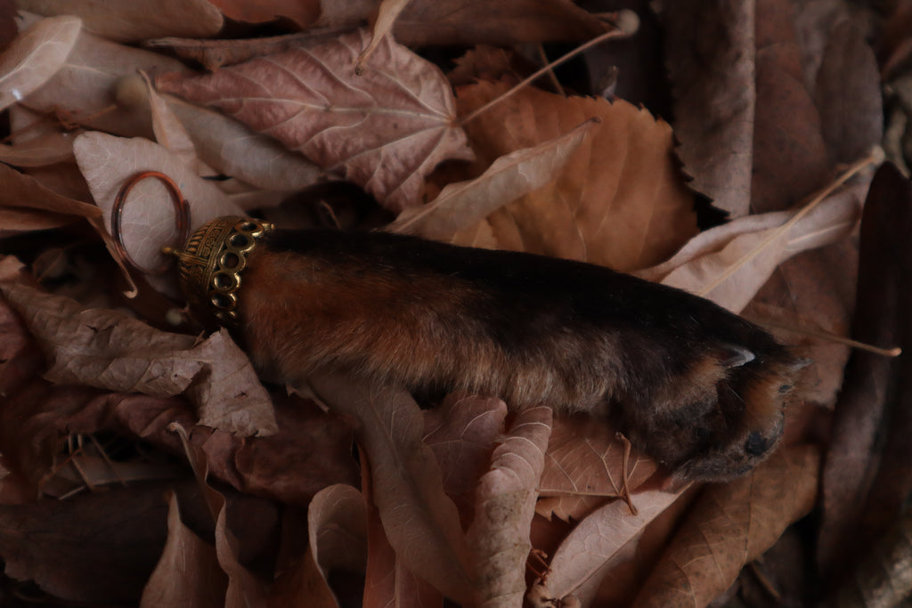 Red Fox Paw Keychain