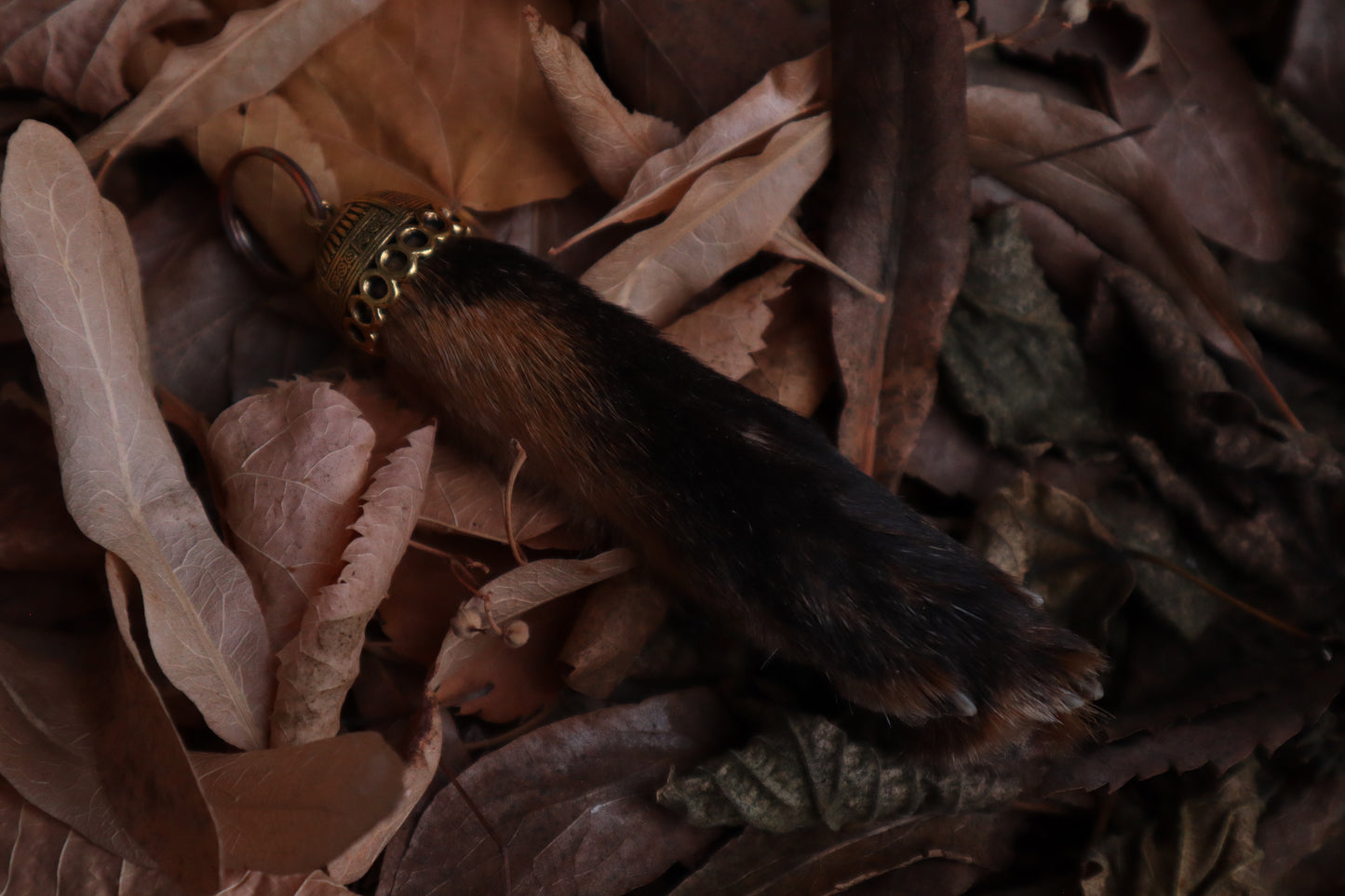 Red Fox Paw Keychain
