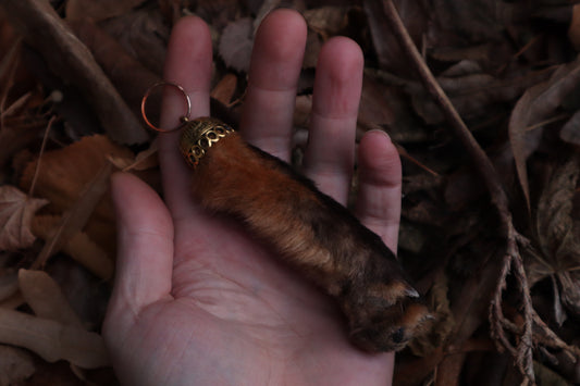 Red Fox Paw Keychain