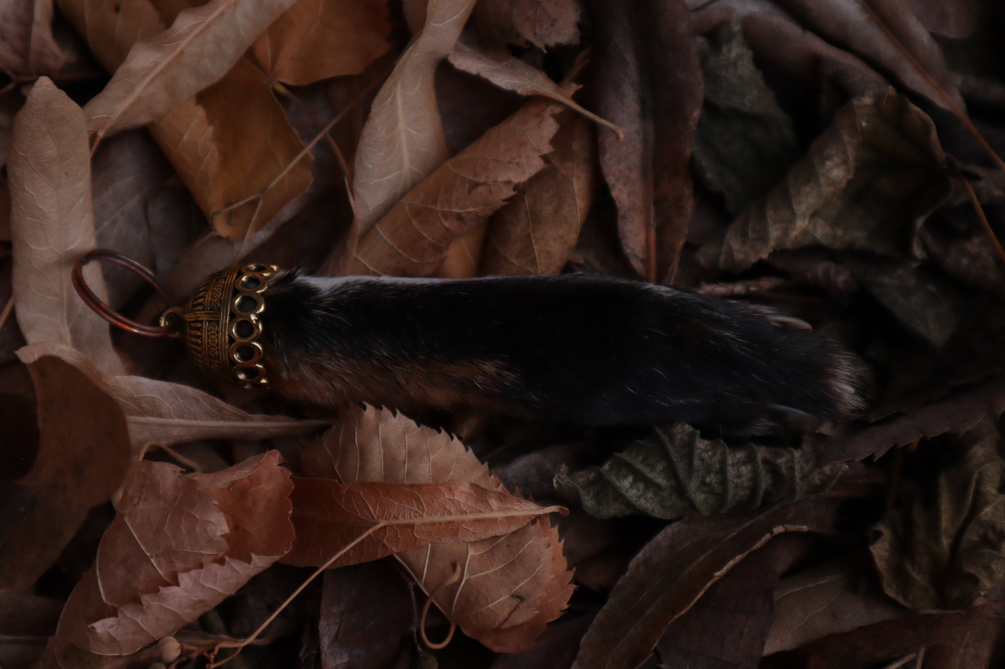 Red Fox Paw Keychain