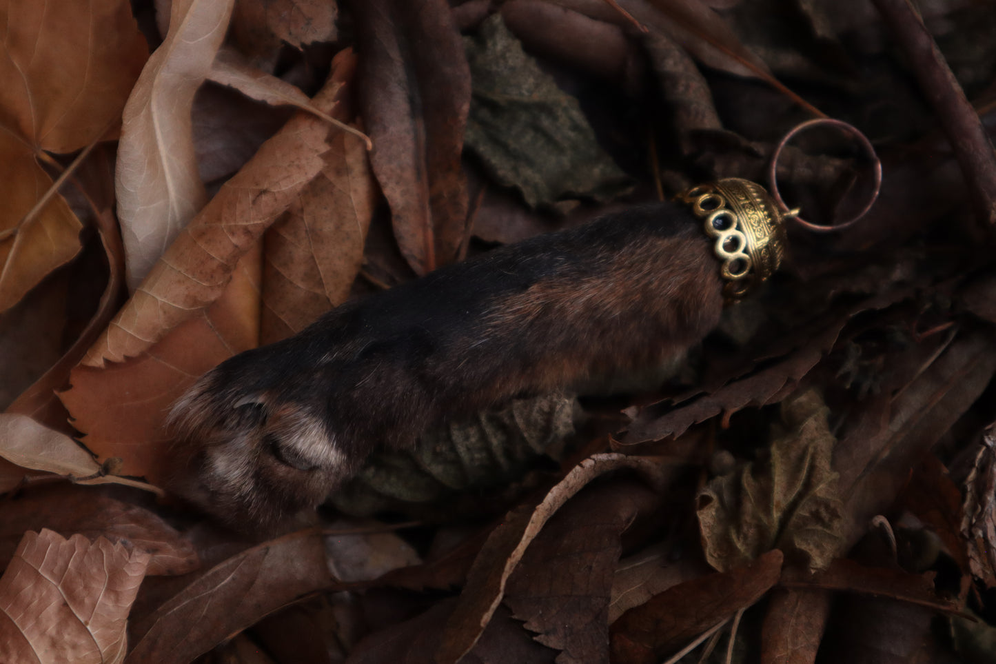 Red Fox Paw Keychain