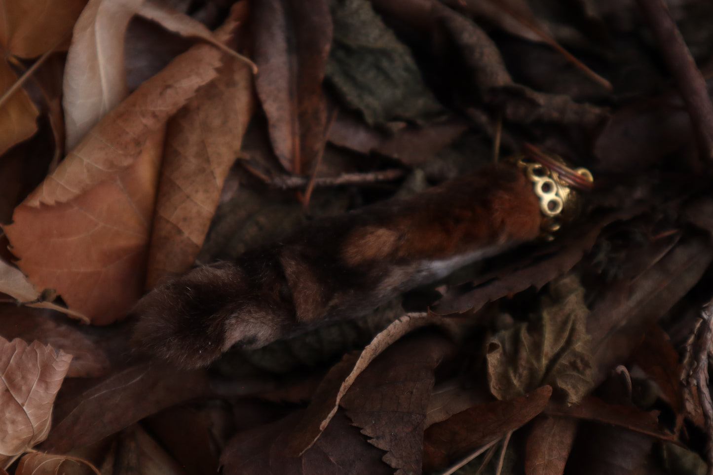 Red Fox Paw Keychain
