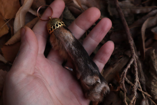 Red Fox Paw Keychain