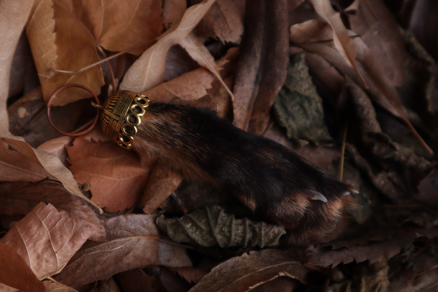 Red Fox Paw Keychain