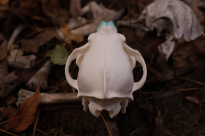 Blue Copper Coyote Skull