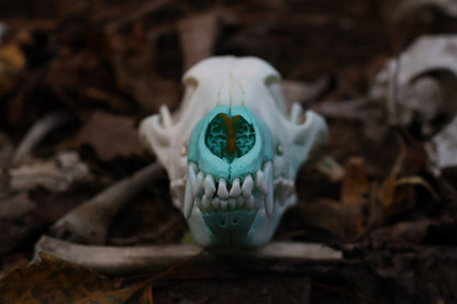 Blue Copper Coyote Skull