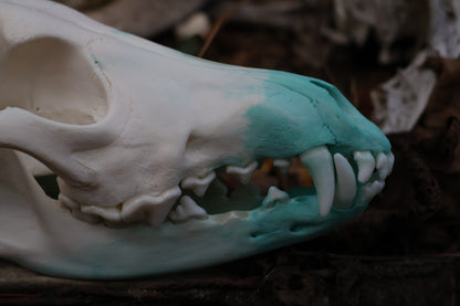 Blue Copper Coyote Skull