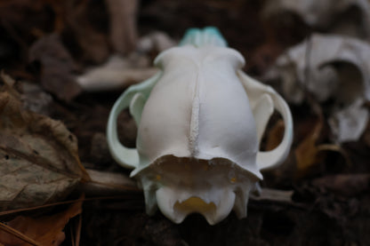 Blue Copper Coyote Skull