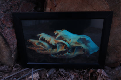 Canidaeception Framed Print
