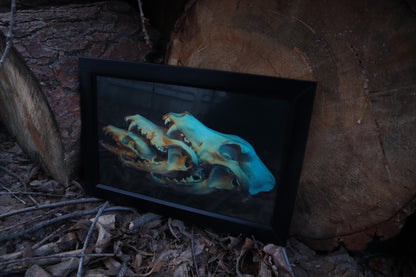 Canidaeception Framed Print
