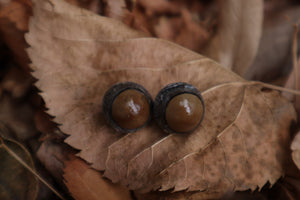 Dry Preserved Kitten Eyeballs