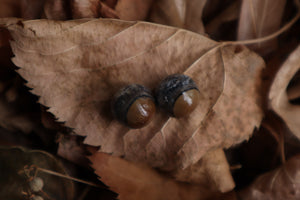 Dry Preserved Kitten Eyeballs