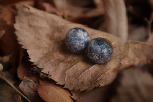 Dry Preserved Kitten Eyeballs