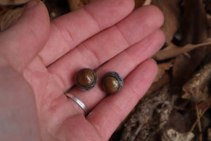 Dry Preserved Kitten Eyeballs