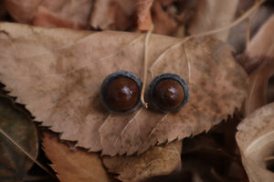 Dry Preserved Kitten Eyeballs