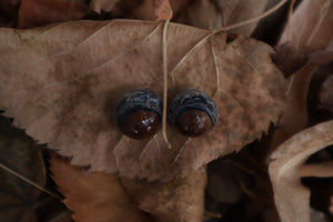 Dry Preserved Kitten Eyeballs