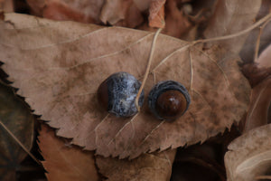 Dry Preserved Kitten Eyeballs