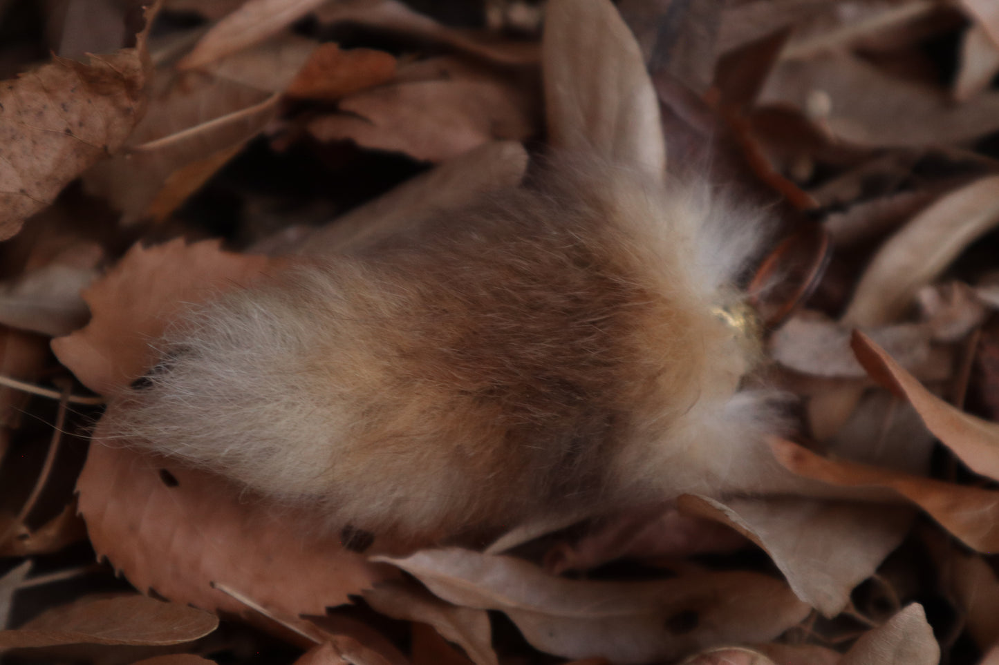 Rabbit Tail Keychain