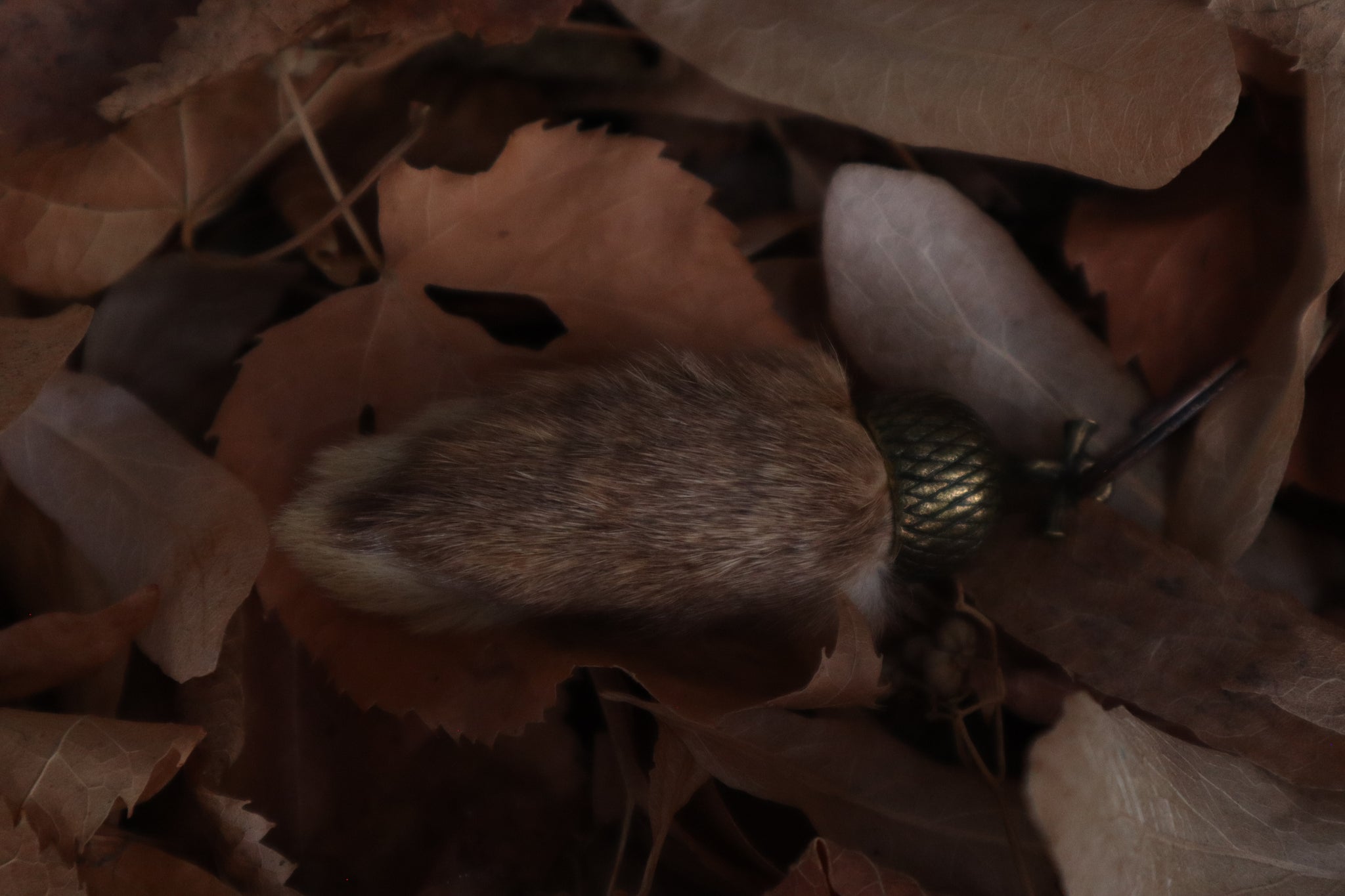 Rabbit Paw Keychain