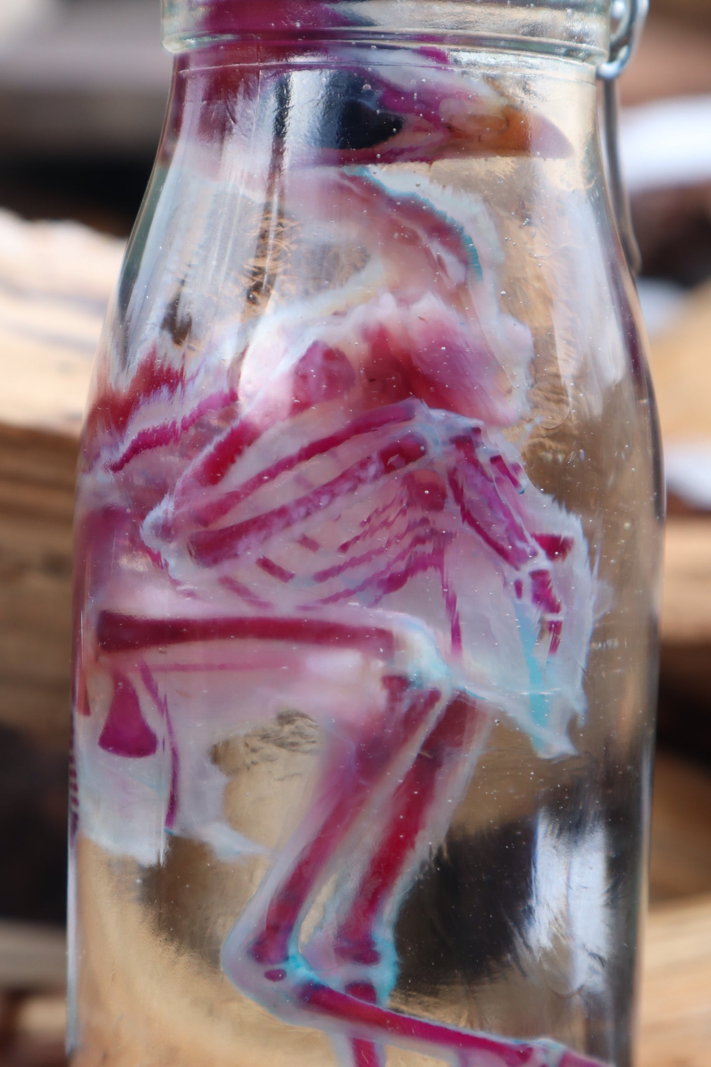 Sub-Adult Chicken Diaphonization
