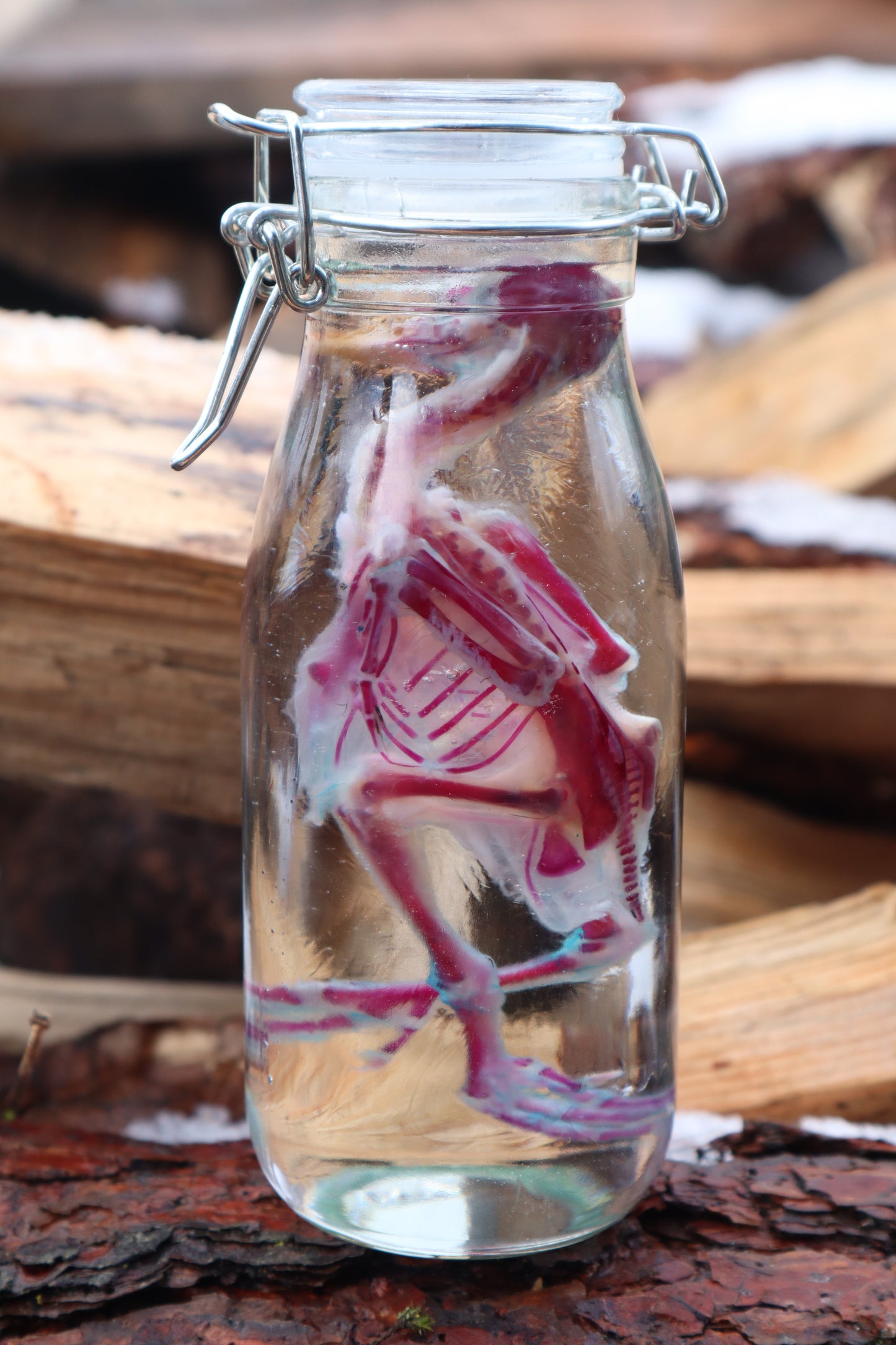 Sub-Adult Chicken Diaphonization