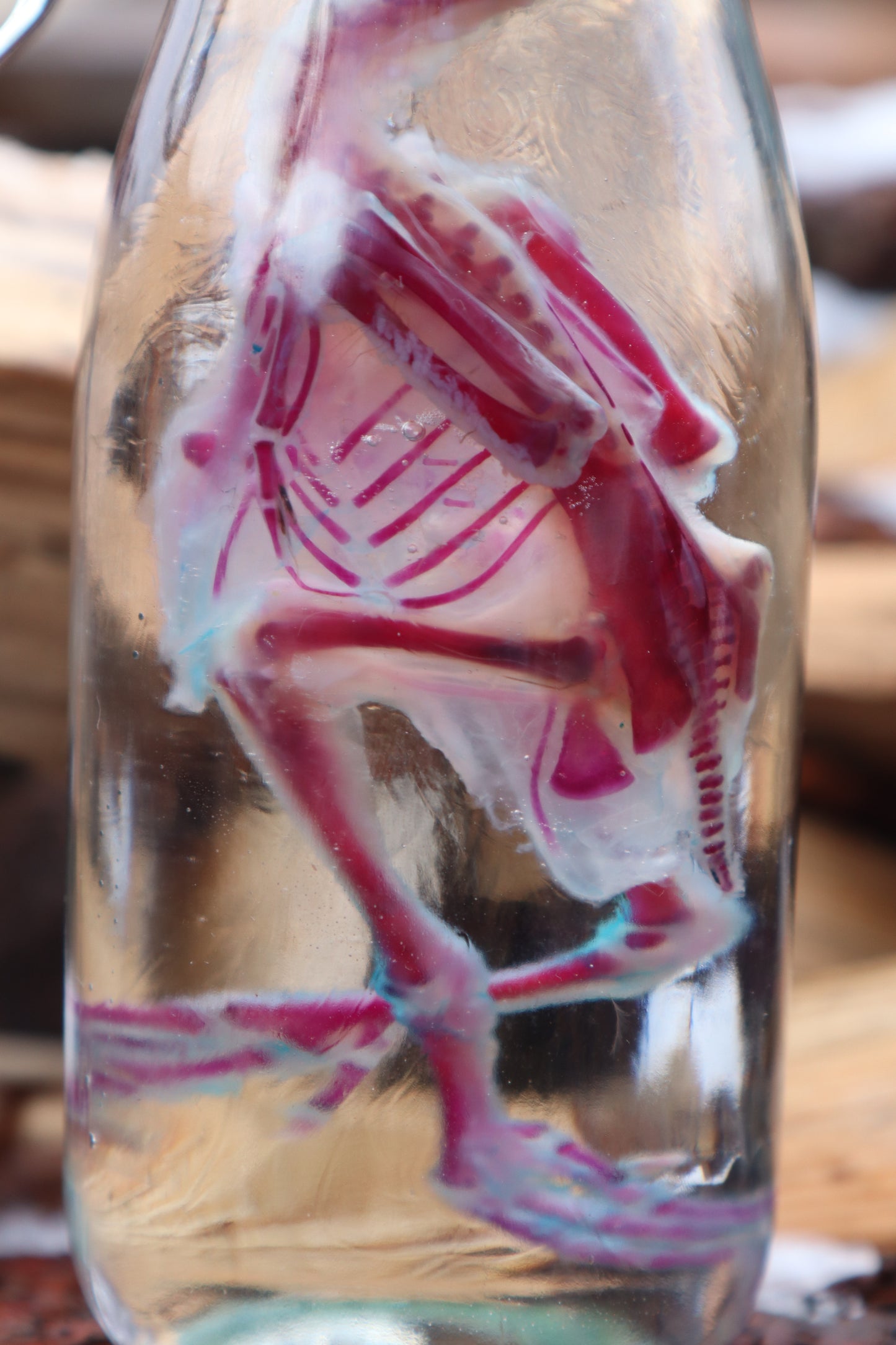 Sub-Adult Chicken Diaphonization