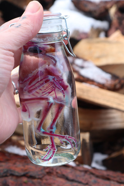 Sub-Adult Chicken Diaphonization