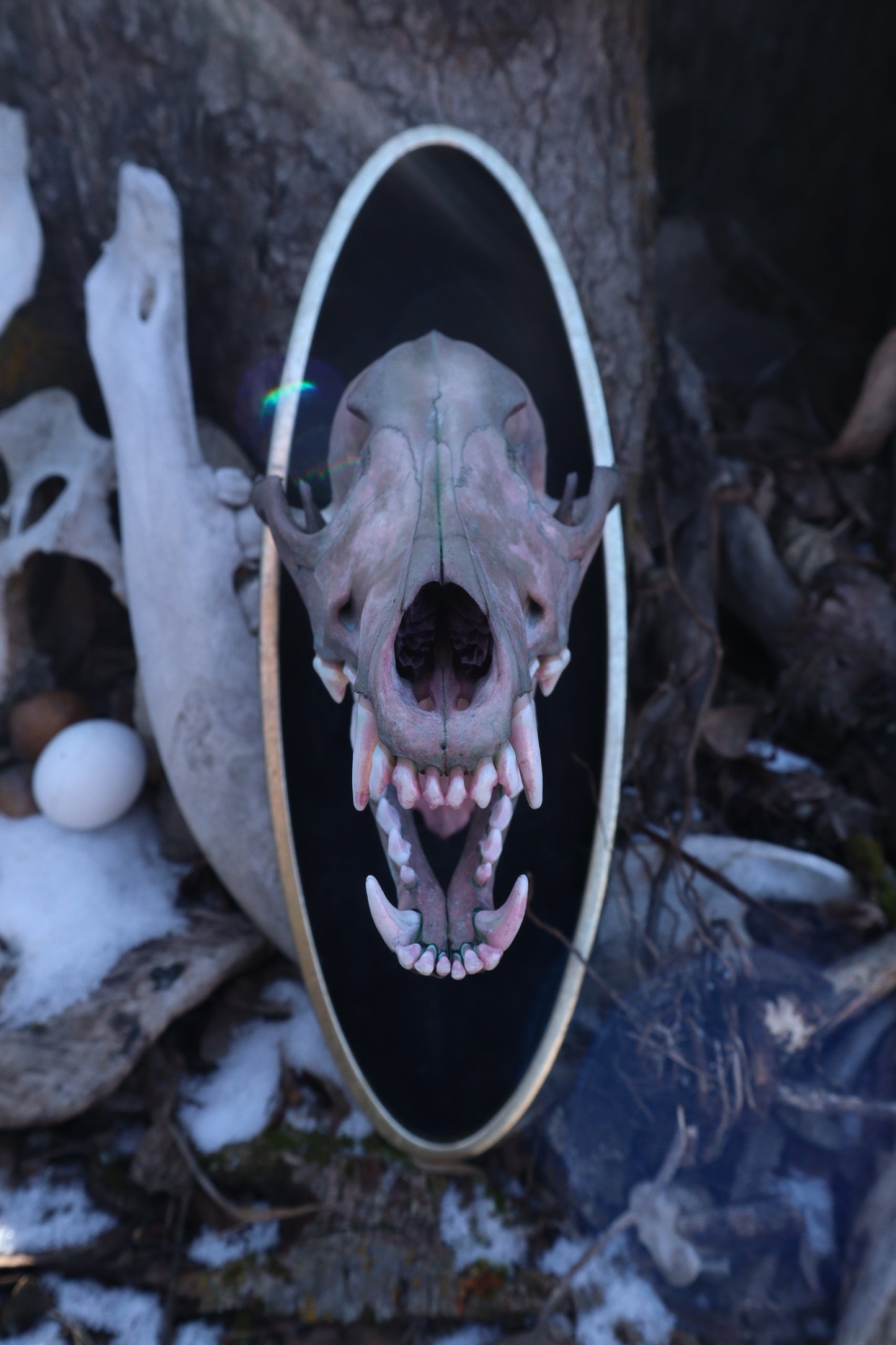 Celestial Coyote Articulation
