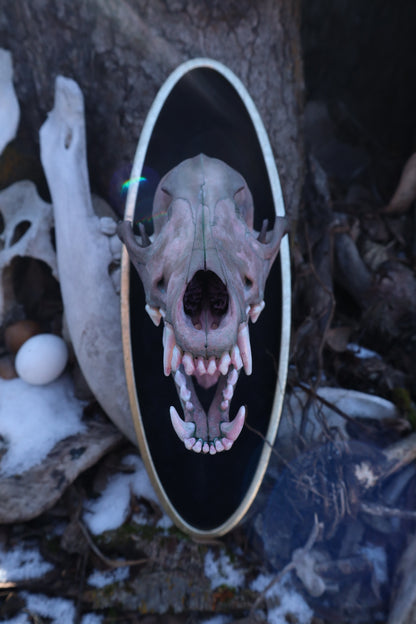 Celestial Coyote Articulation