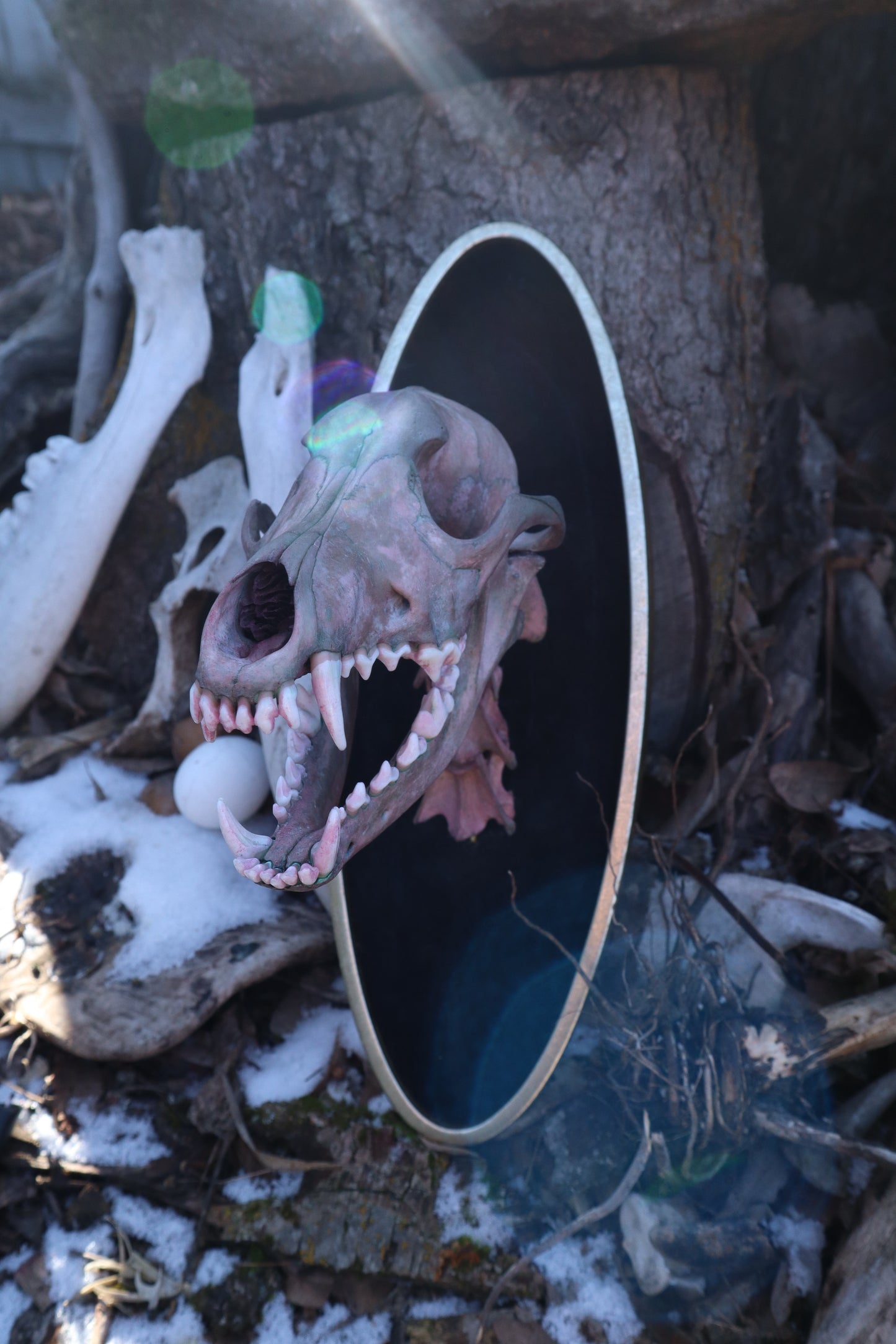 Celestial Coyote Articulation
