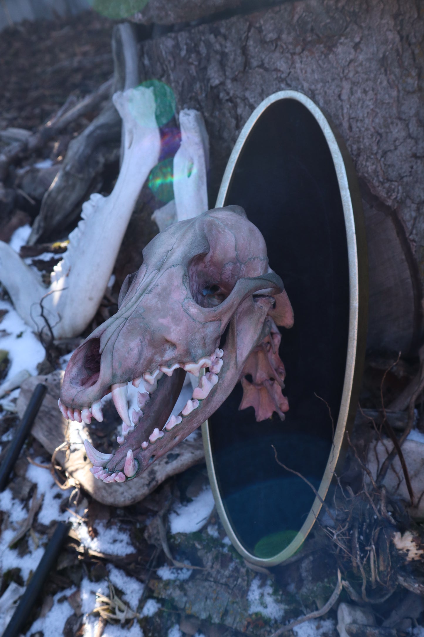 Celestial Coyote Articulation