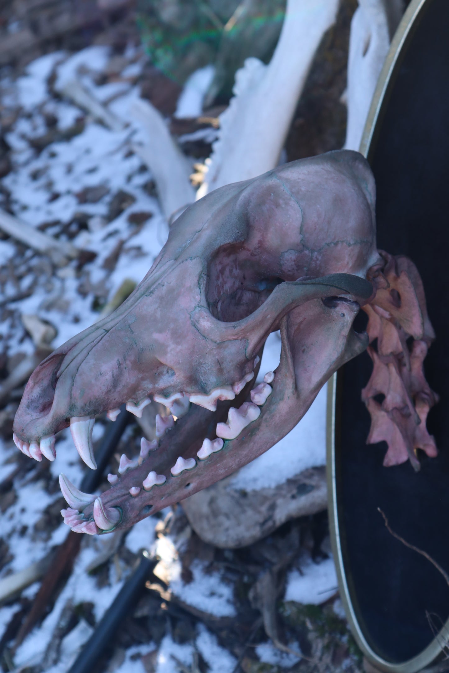 Celestial Coyote Articulation