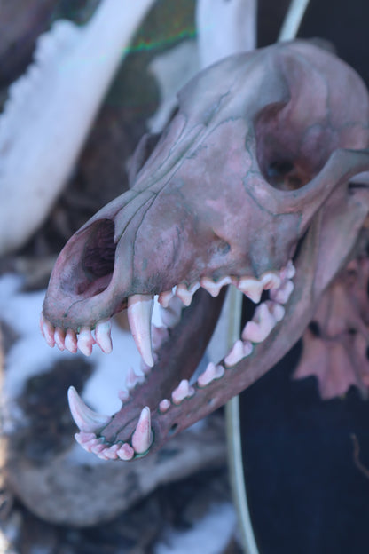Celestial Coyote Articulation