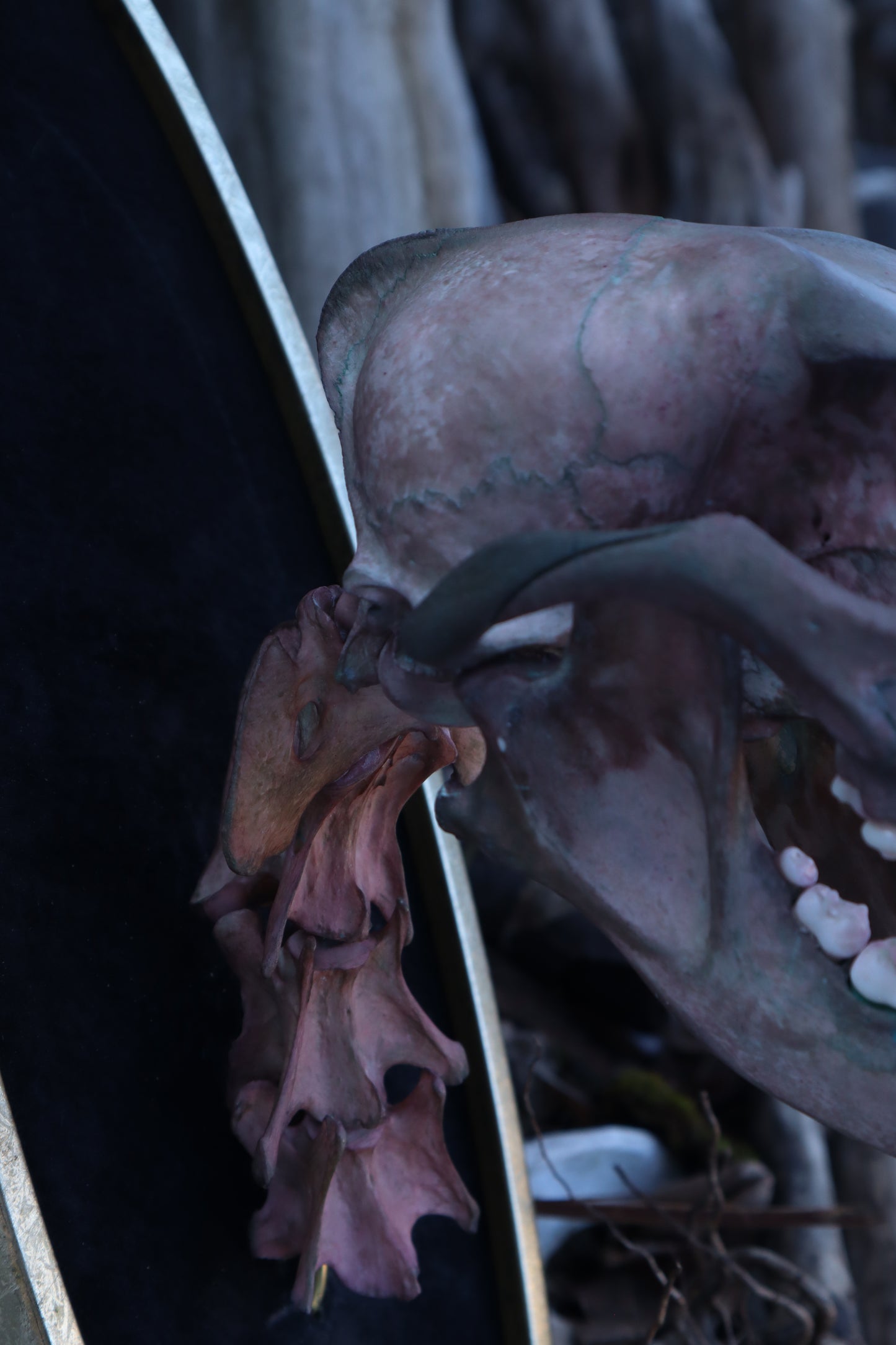 Celestial Coyote Articulation