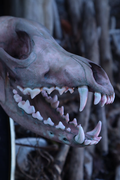 Celestial Coyote Articulation
