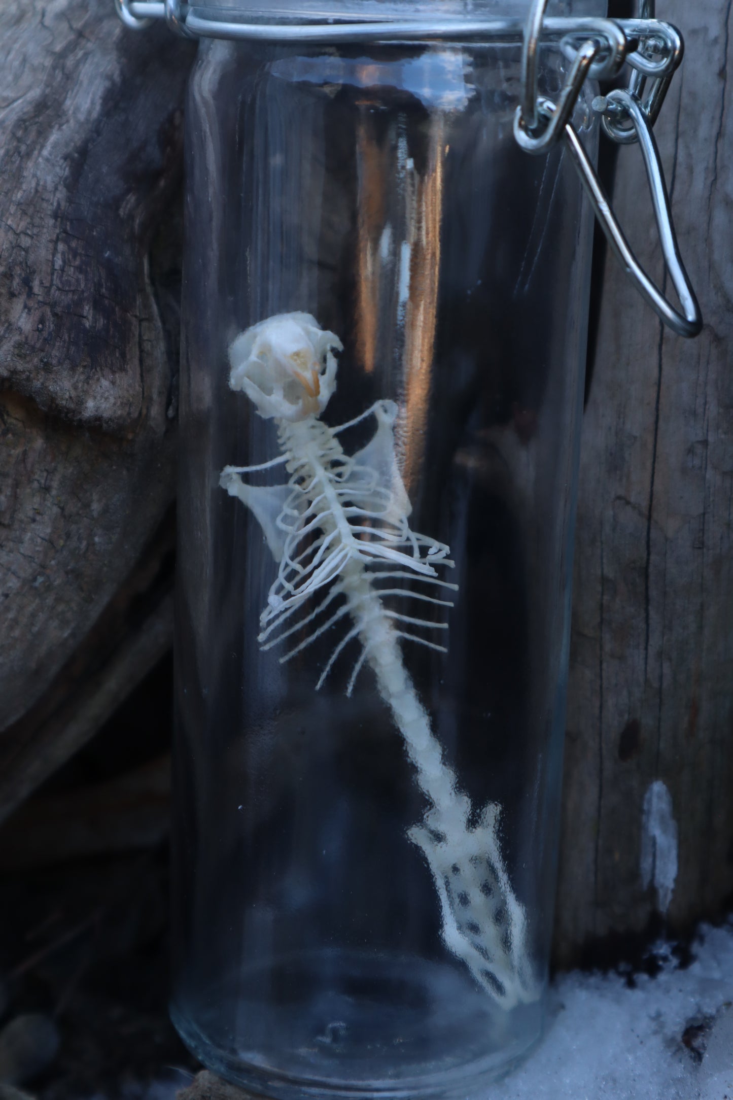 Mouse Articulation