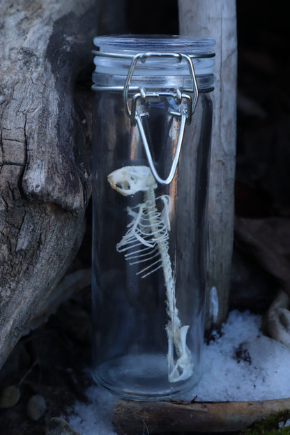 Mouse Articulation