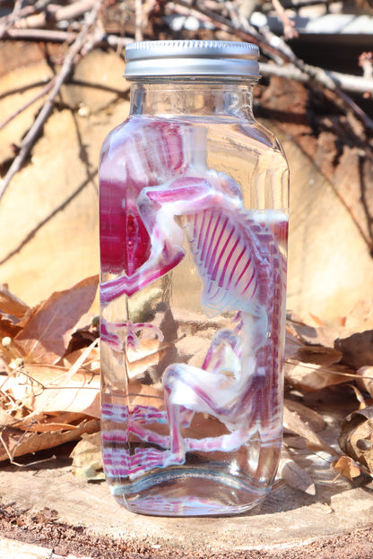 Diaphonized Juvenile Opossum