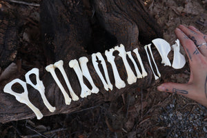 Groundhog Bone Lot