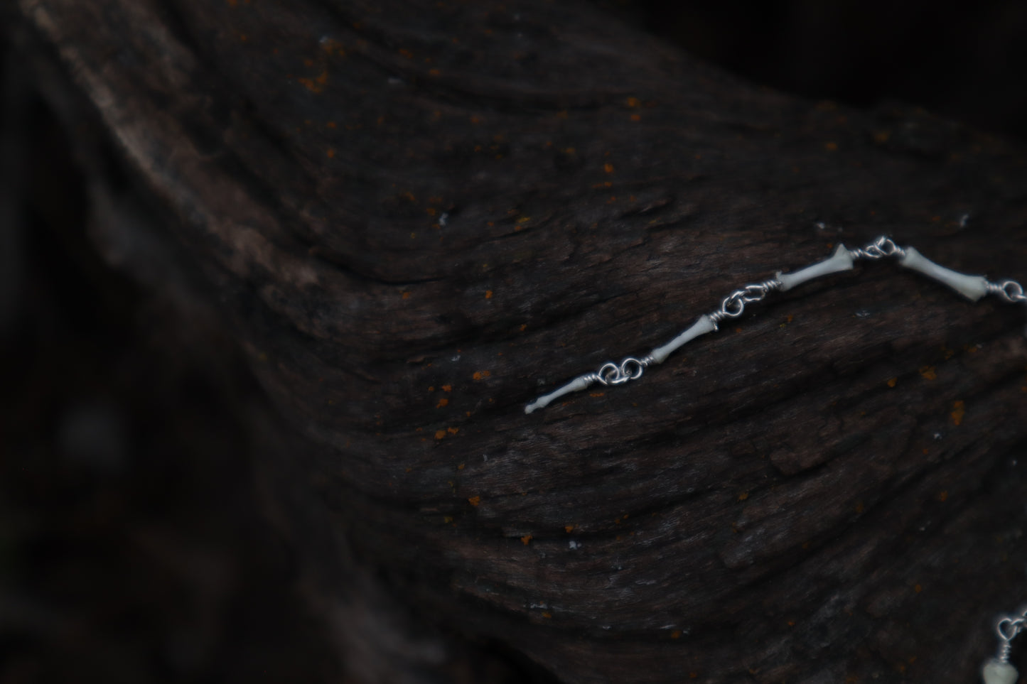 Fluid Groundhog Tail Articulation