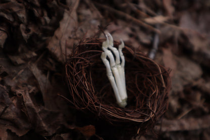 Kitten Paw Nest
