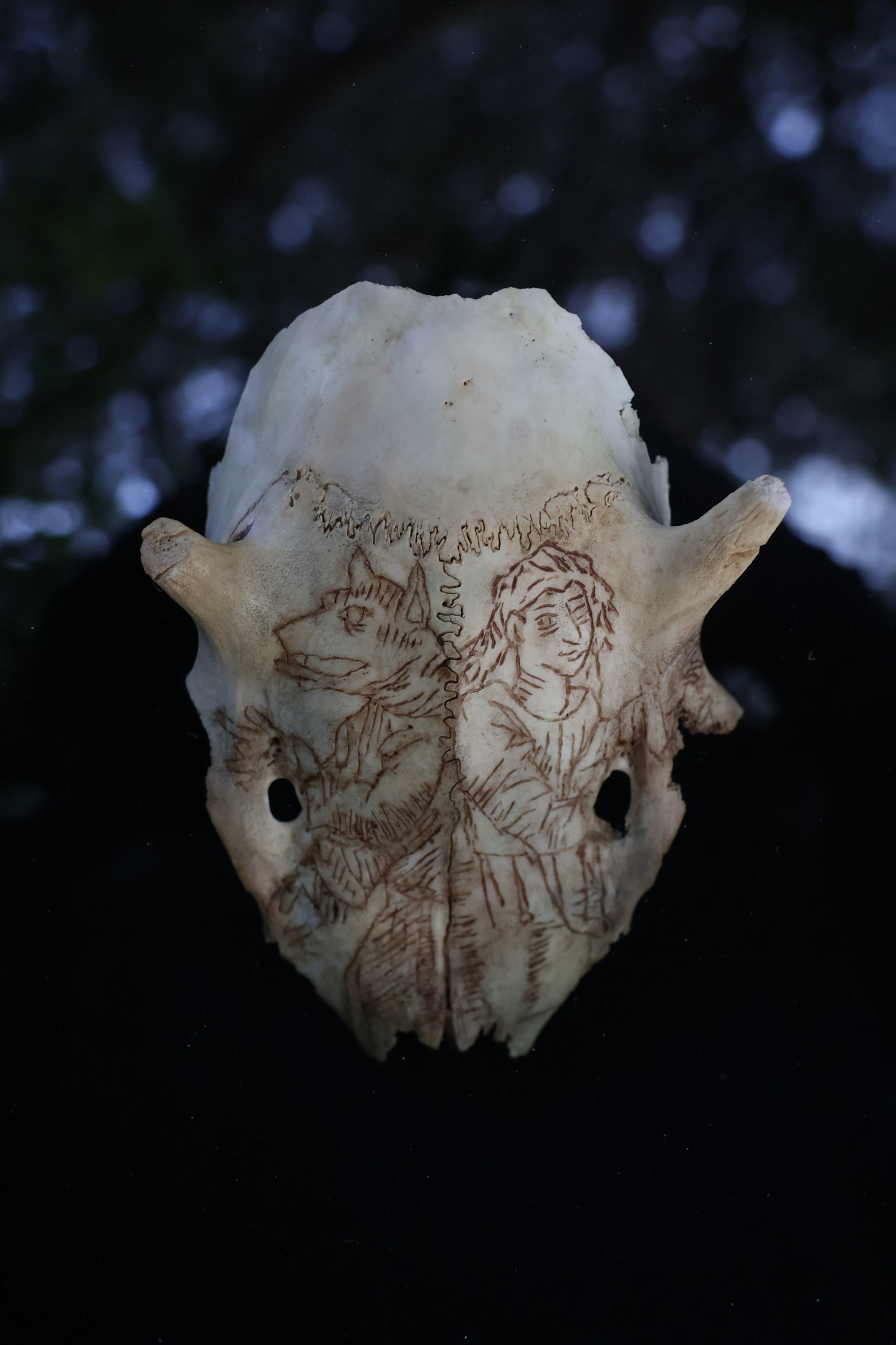The Shapeshifter