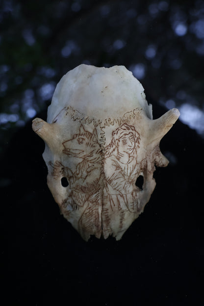 The Shapeshifter