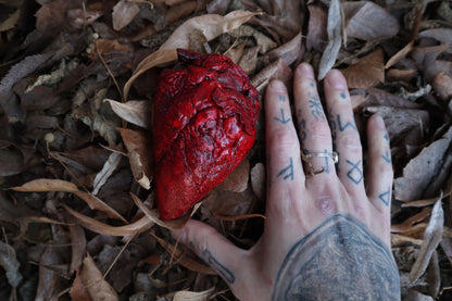 Dry Preserved Whitetail Deer Heart